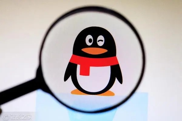 提供银行卡号和手机号可以查征信吗？